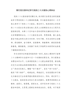 银行党支部书记学习党的二十大报告心得体会.docx