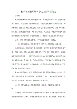 校长在新教师培训会议上的讲话范文.docx