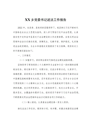 XX乡党委书记述法工作报告 .docx