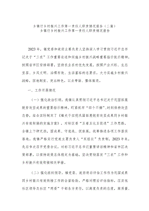 乡镇行乡村振兴工作第一责任人职责情况报告(二篇).docx
