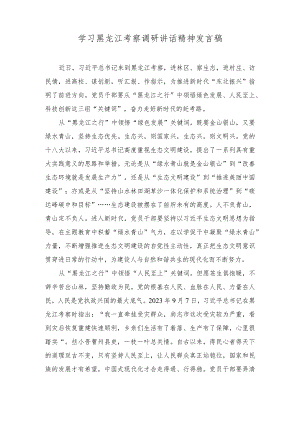 （2篇）学习黑龙江考察调研讲话精神发言稿（新时代推动东北全面振兴心得体会）.docx