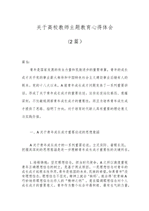 （2篇）关于高校教师主题教育心得体会.docx