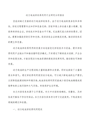 动力电池回收再利用行业研究分析报告.docx