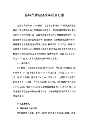 县域民营经济改革试点方案.docx