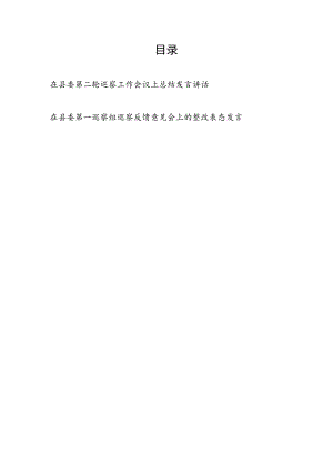 2023年在县委第二轮巡察工作会议上总结发言讲话和巡察反馈意见会上的整改表态发言.docx