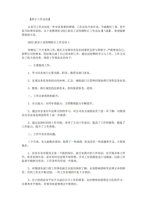 2022新员工试用期转正工作总结.docx