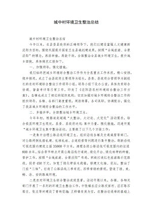 城中村环境卫生整治总结.docx