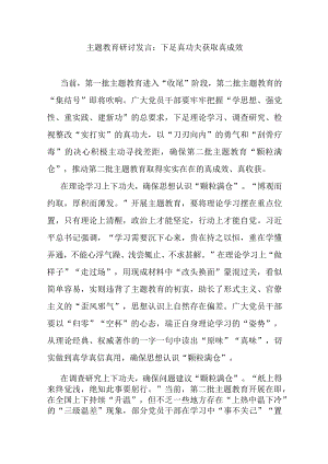 主题教育研讨发言：下足真功夫 获取真成效.docx