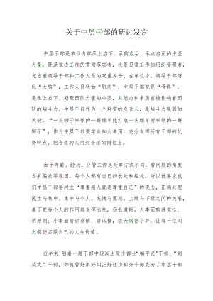 关于中层干部的研讨发言.docx
