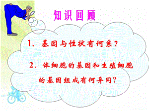 隐性基因与显性基因.ppt
