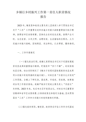 乡镇行乡村振兴工作第一责任人职责情况报告.docx