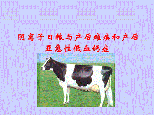 阴离子日粮与产后瘫痪和产后.ppt