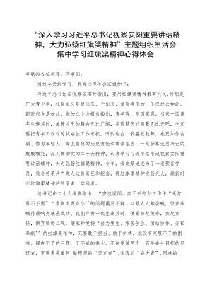 红旗渠精神心得体会.docx