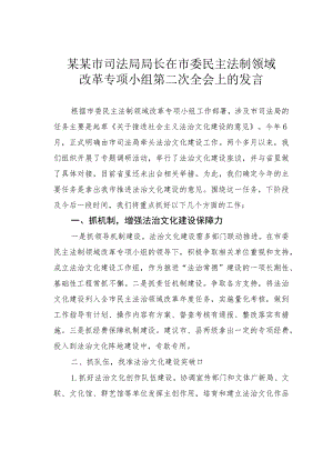 某某市司法局局长在市委民主法制领域改革专项小组第二次全会上的发言.docx