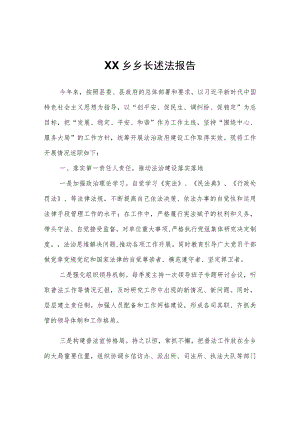 XX乡乡长述法报告 .docx