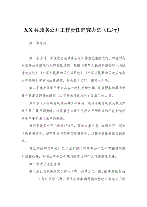 XX县政务公开工作责任追究办法（试行）.docx
