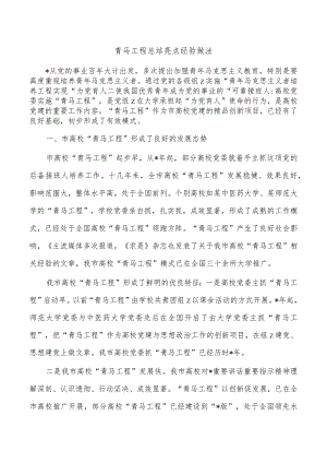 青马工程总结亮点经验做法.docx