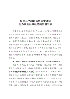 县域经济大会发言材料.docx