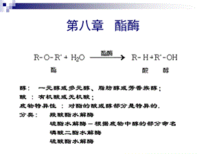 食品酶学酯酶和过氧化物酶89.ppt