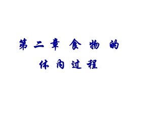 食物的体内过程.ppt