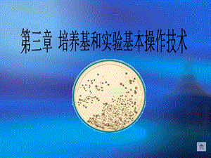 食品质量检测.ppt