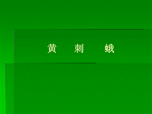 黄刺蛾果树病虫害论文.ppt