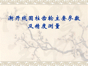 齿轮主要参数及测量.ppt