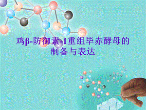 鸡防御素1重组毕赤酵母的制备与表达.ppt