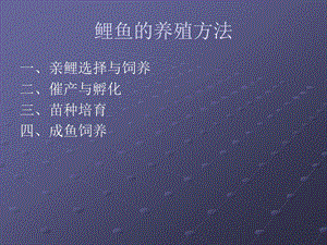 鲤鱼养殖方法.ppt