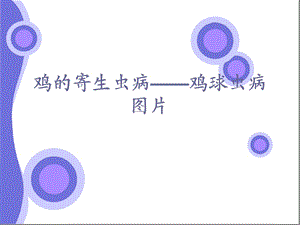 鸡的寄生虫病.ppt