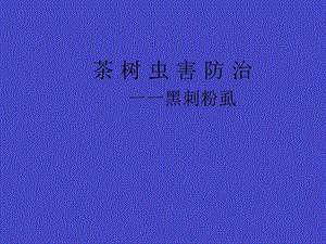 黑刺粉虱防治.ppt