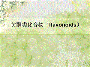 黄酮类化合物flavonoids.ppt