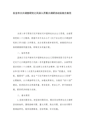 在全市大兴调查研究之风深入开展大调研活动实施方案范文.docx