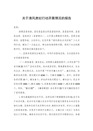 关于清风肃纪行动开展情况的报告.docx