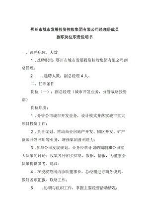 鄂州市城市发展投资控股集团有限公司经理层成员副职岗位职责说明书.docx