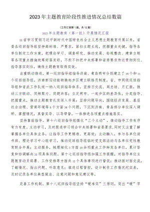 2023年主题教育阶段性推进情况总结数篇.docx