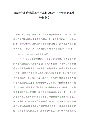 2023年市统计局上半年工作总结和下半年重点工作计划范文.docx