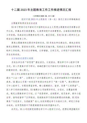 十二篇2023年主题教育工作工作推进情况汇报.docx