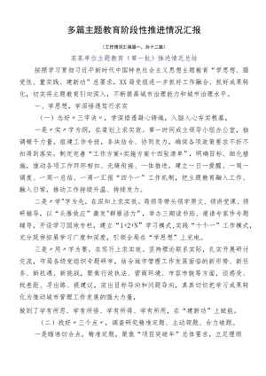 多篇主题教育阶段性推进情况汇报.docx