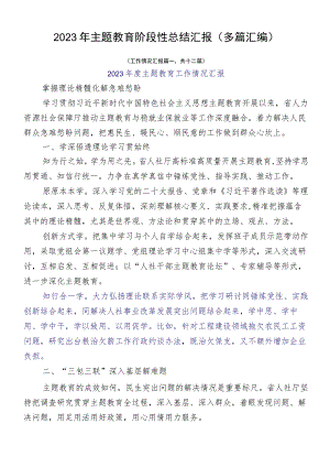 2023年主题教育阶段性总结汇报（多篇汇编）.docx