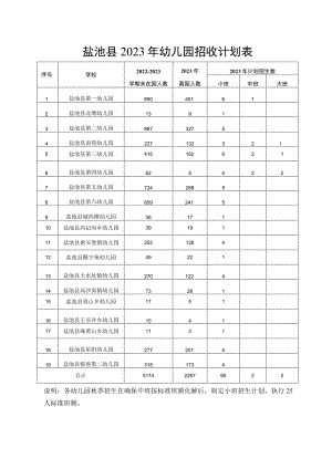 盐池县2023年幼儿园招收计划表.docx