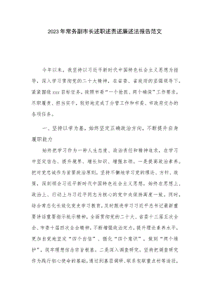 2023年常务副市长述职述责述廉述法报告范文.docx