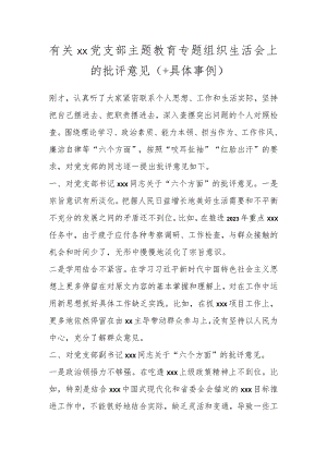 有关XX党支部主题教育专题组织生活会上的批评意见（＋具体事例）.docx