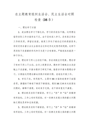 在主题教育组织生活会、民主生活会对照检查（35条）.docx