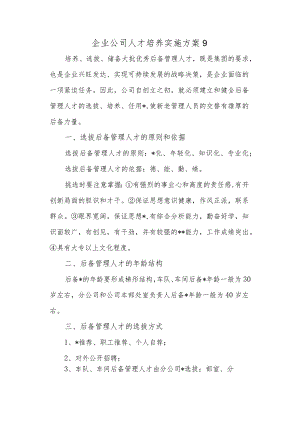 企业公司人才培养实施方案9.docx