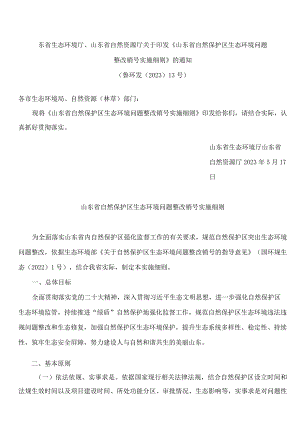 山东省生态环境厅、山东省自然资源厅关于印发《山东省自然保护区生态环境问题整改销号实施细则》的通知.docx