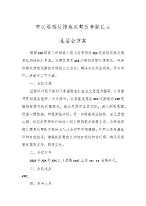 有关巡察反馈意见整改专题民主生活会方案.docx