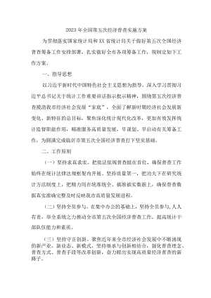 直辖市2023年开展全国第五次经济普查专项实施方案 合计4份.docx