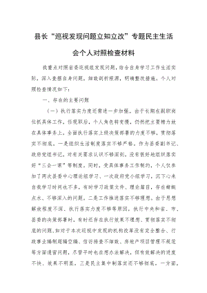 县长“巡视发现问题立知立改”专题民主生活会个人对照检查材料.docx