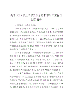 关于2023年上半年工作总结和下半年工作计划的报告.docx